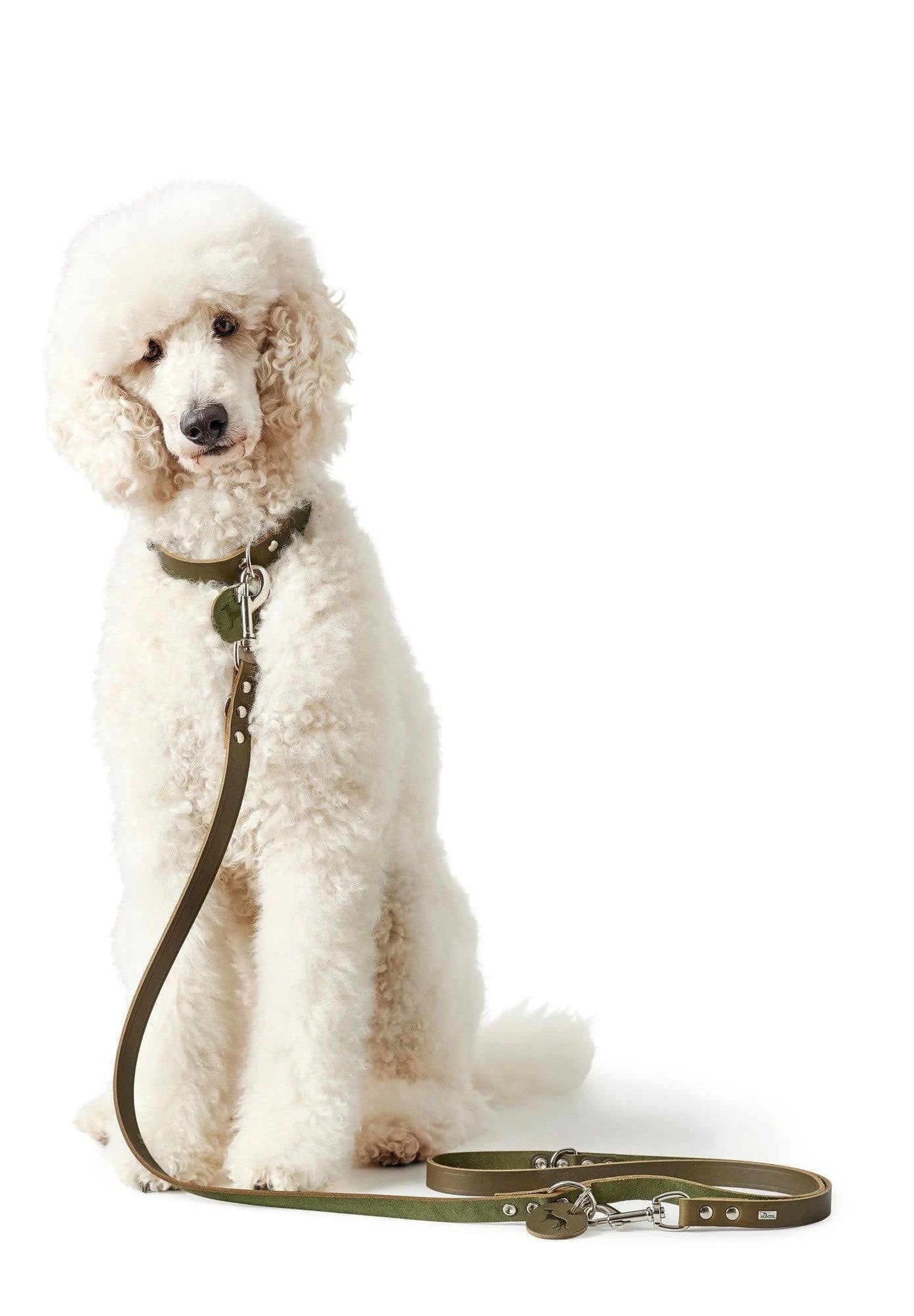 Dog Collar Hunter Aalborg