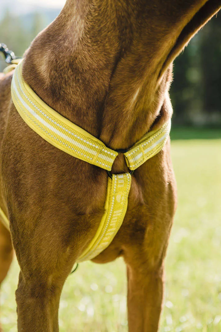 Hurtta Outdoors Padded Y-Harness - Juniper 35cm