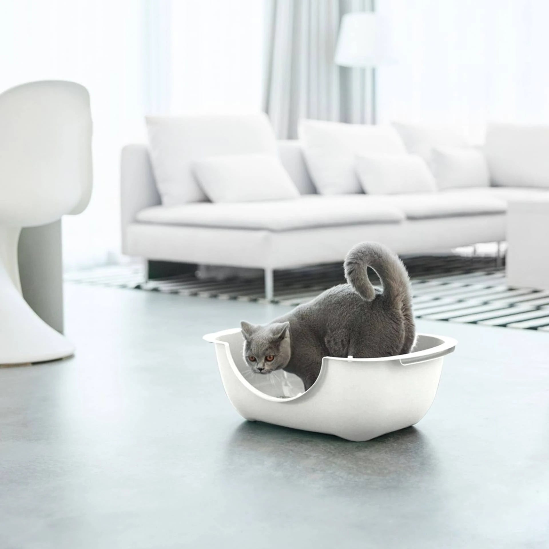 Cat Litter Box Rotho My Pet Bella Cat 56 x 19 x 39 cm White