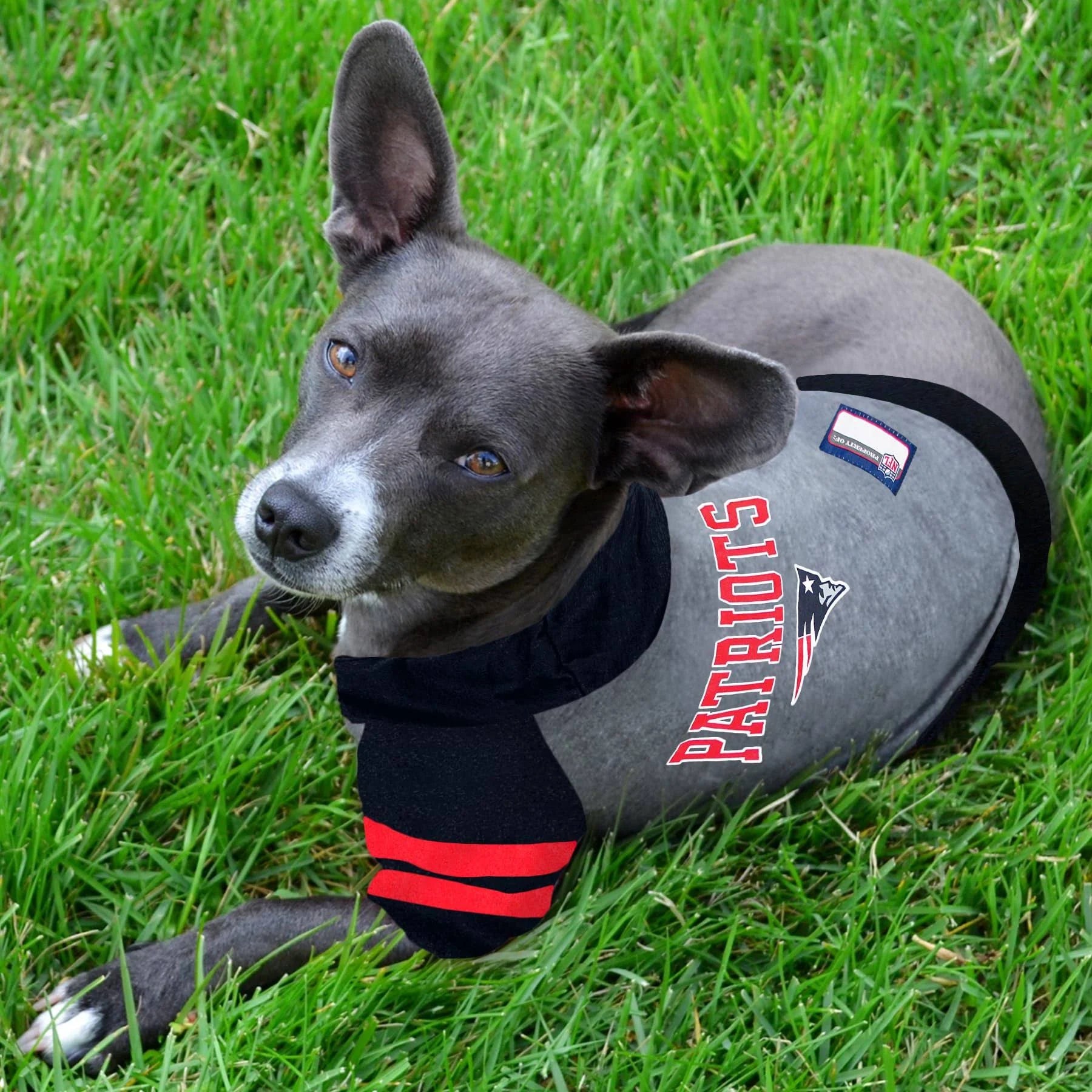 Pets First New England Patriots NFL Hoodie T-Shirt in Grey, Size: Medium | Petsmart