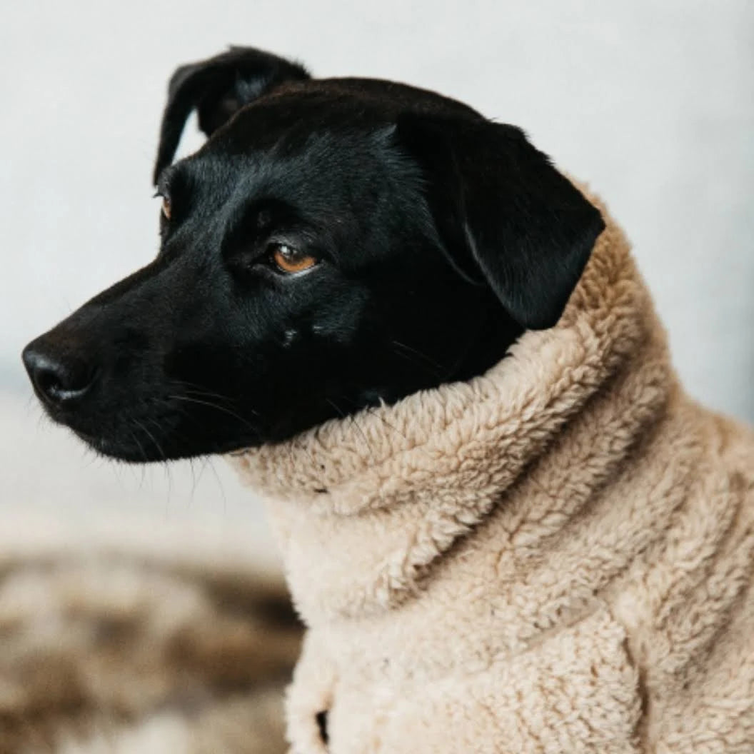 Kentucky Teddy Fleece Dog Sweater Large