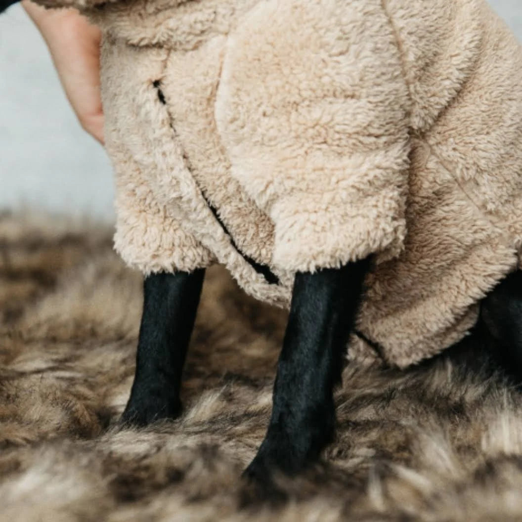 Kentucky Teddy Fleece Dog Sweater Large