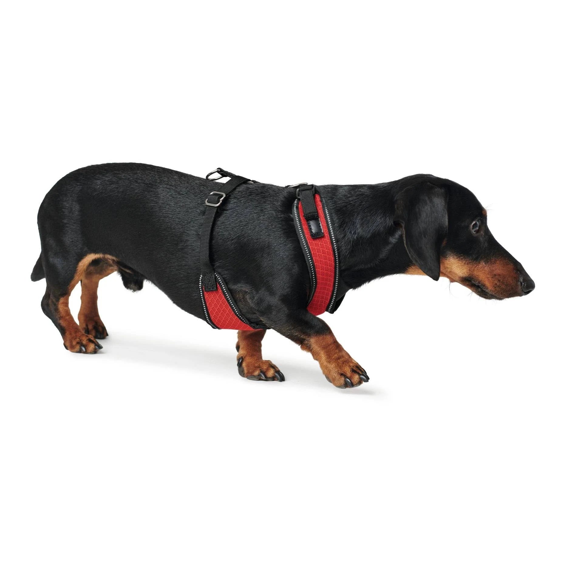 Hunter Harness Manoa Vario Rapid Black