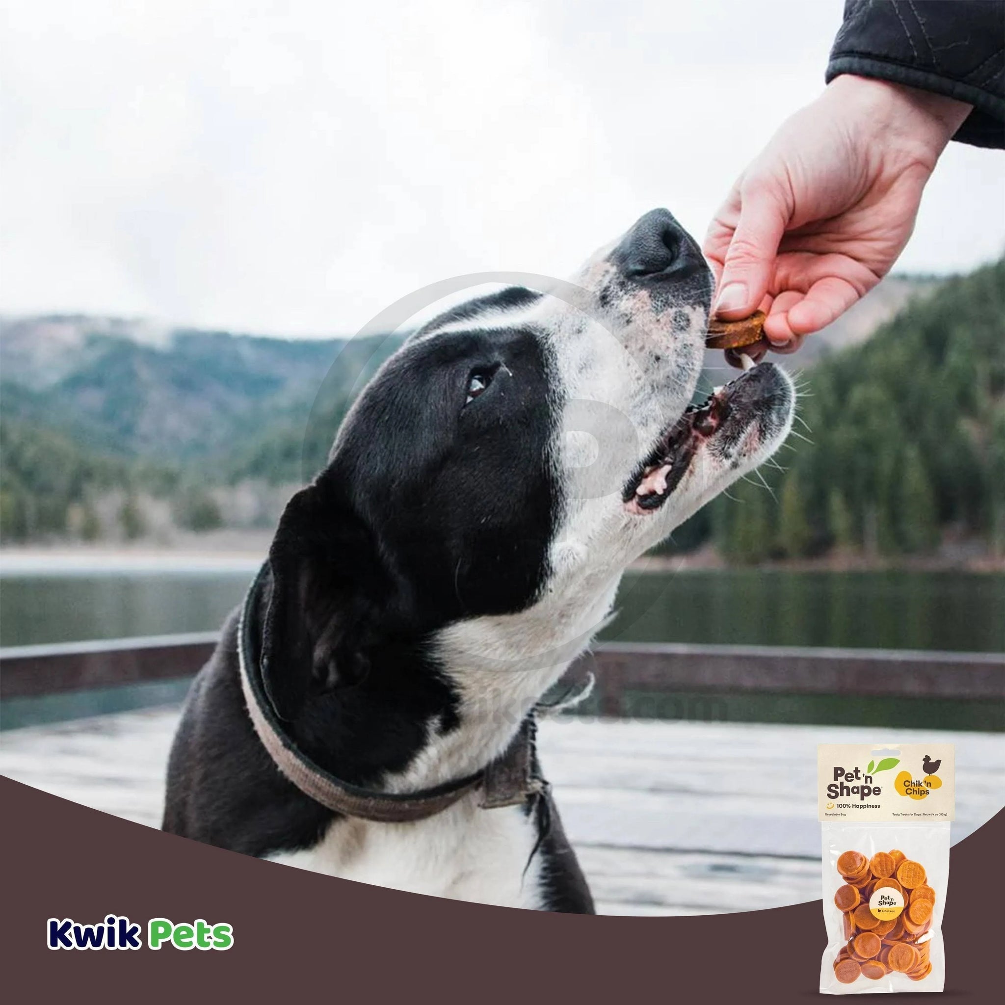 Pet 'N Shape Chik 'N Chips Dog Treats 4 oz