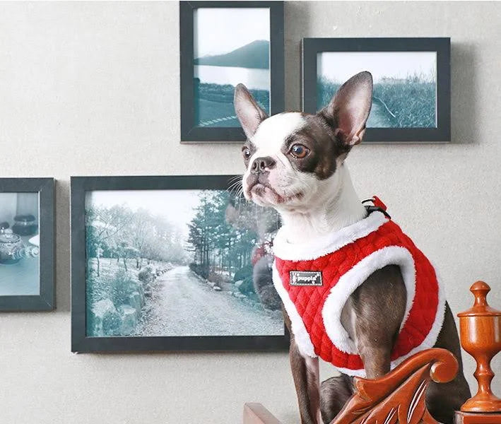 Puppia Blitzen Harness