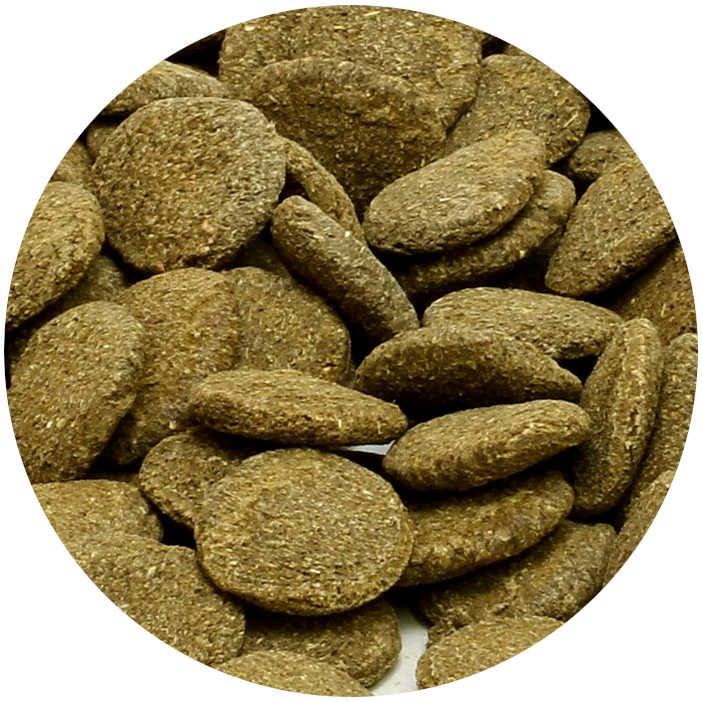 JBL NovoPleco XL 1 Litre