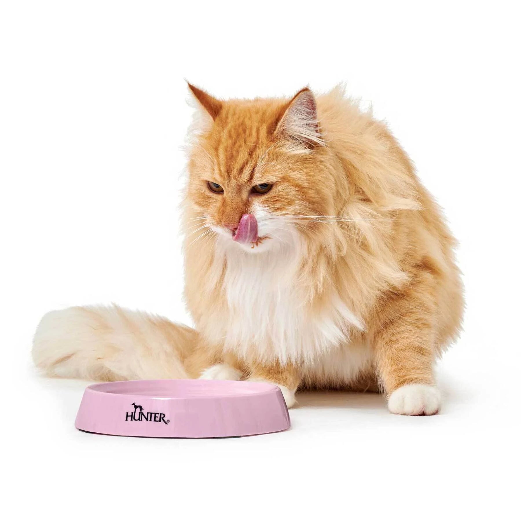 Hunter Moulins Food Bowl - 200ml