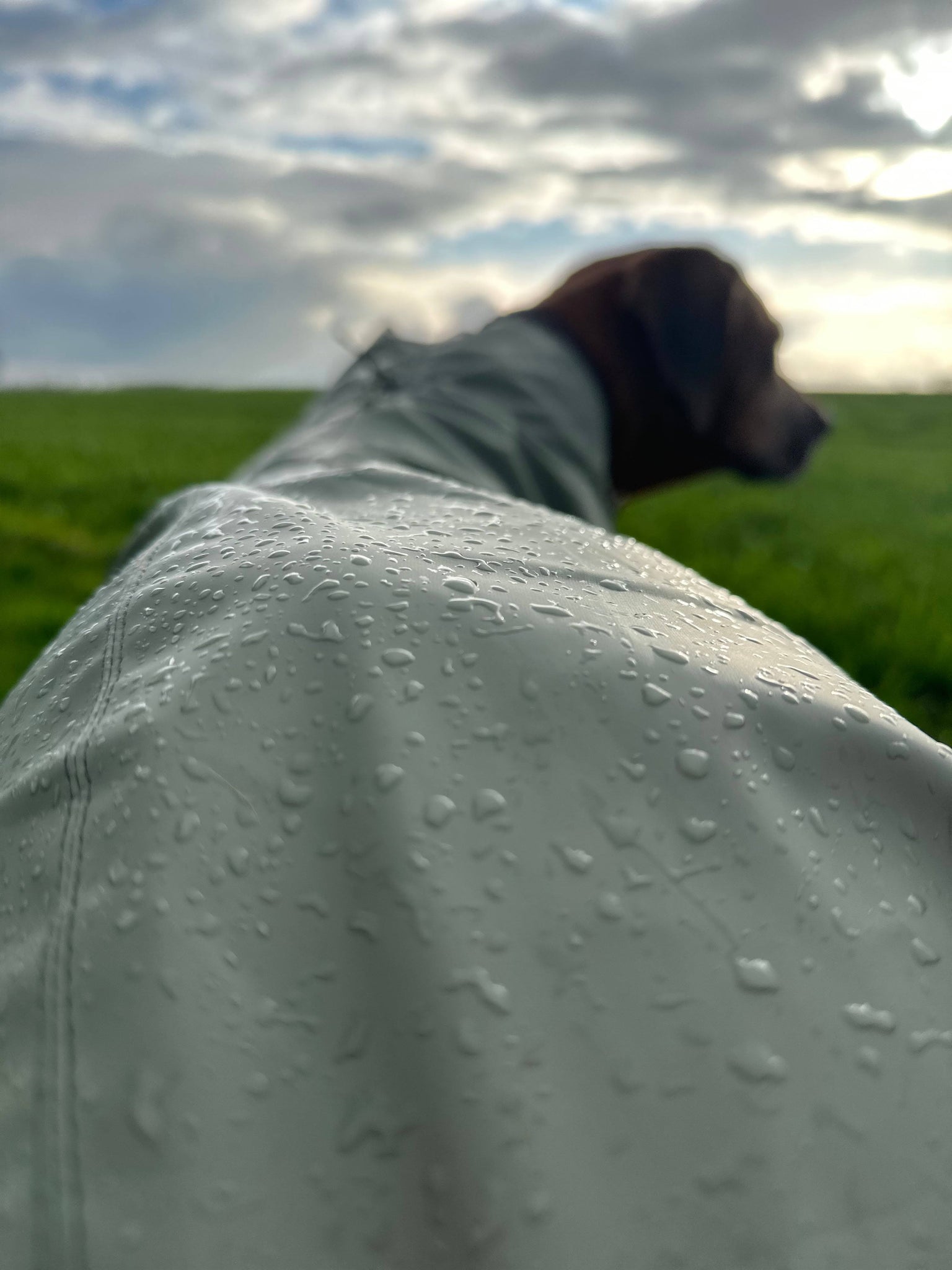 Hunter Rain Coat Milford - Size 60 - Taupe