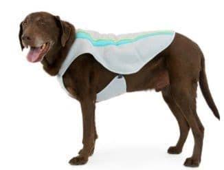 Ruffwear Swamp Cooler - Sage Green - L - Summer Shop - Von Wolf