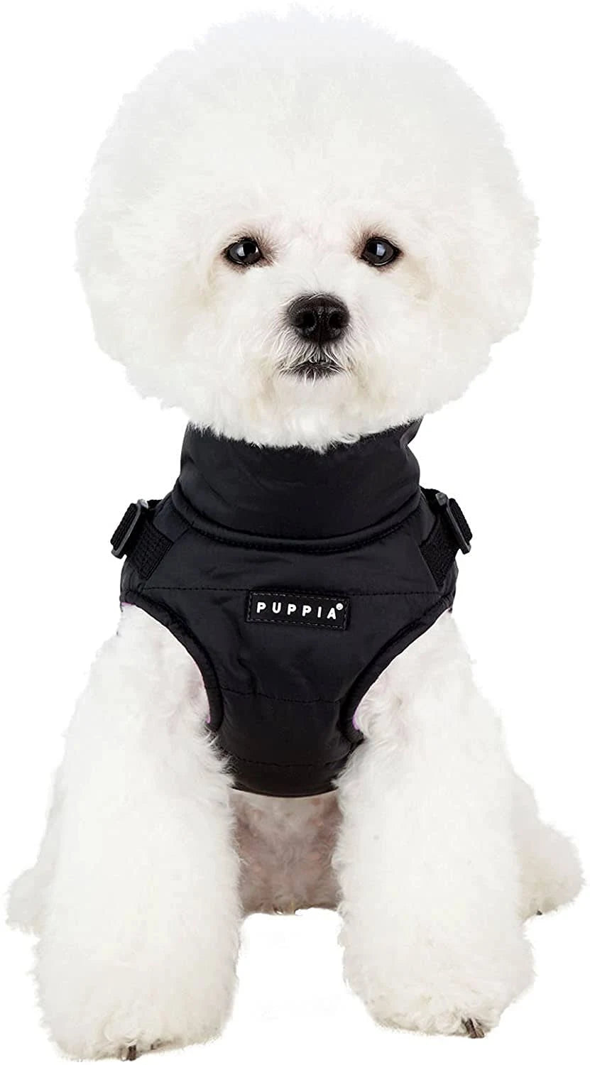 Puppia New Mountaineer Coat Medium Black