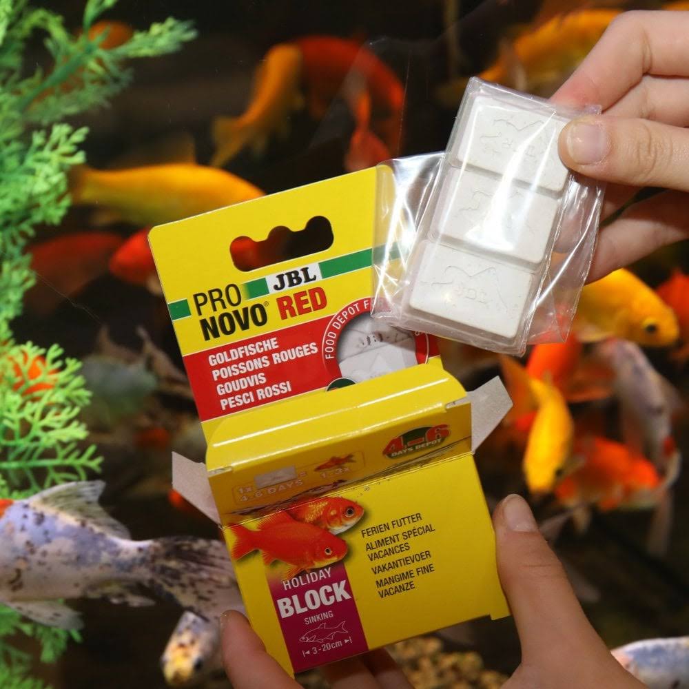 JBL PRONOVO Red Holiday