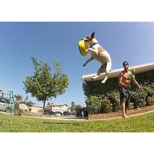 HurriK9 Flying Ring Launcher Dog Exerciser Starter Pack Quickly Exercises Your ...