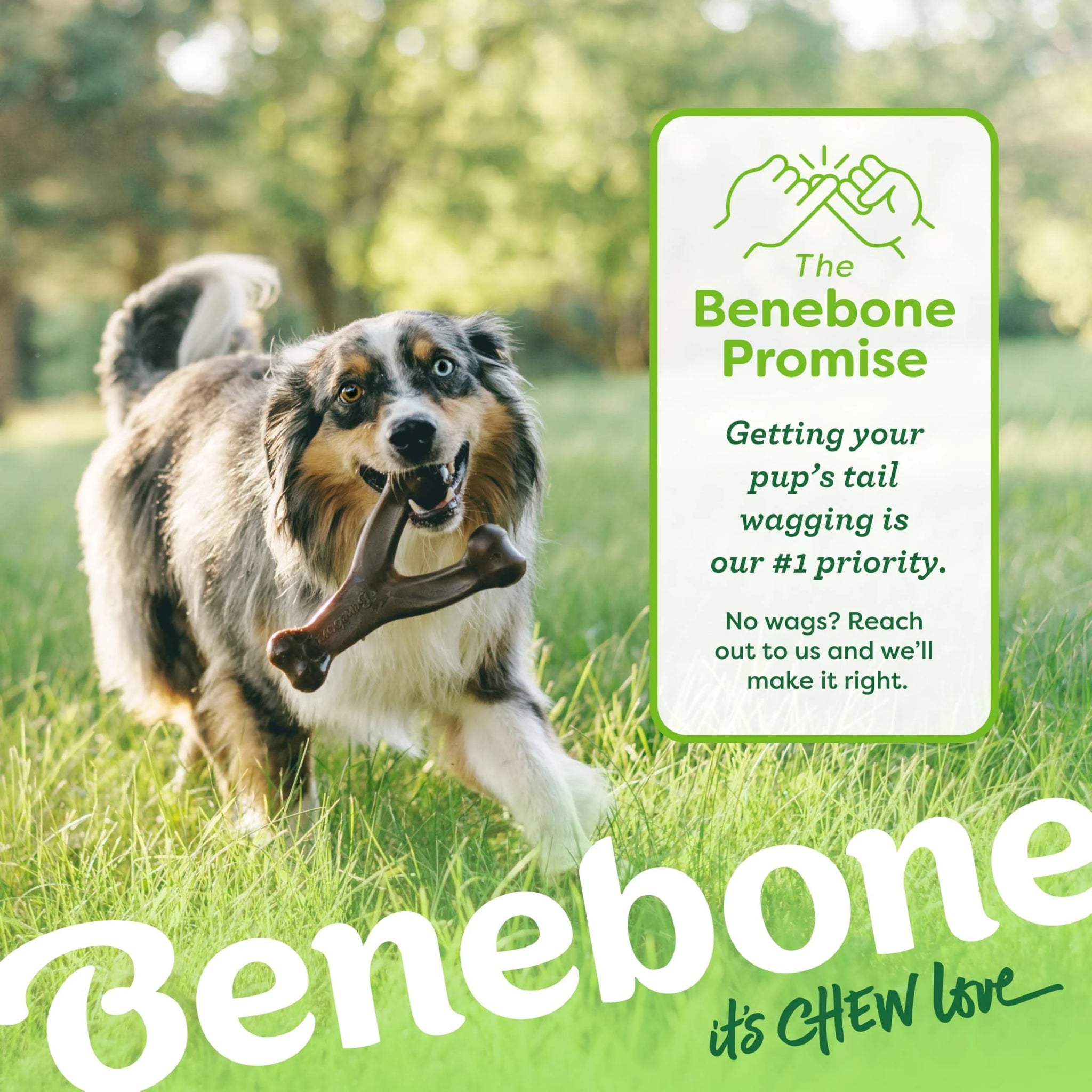 Benebone 2 Count Wishbone/Dental Durable Dog Chew Toys, Real Bacon, Made in USA ...