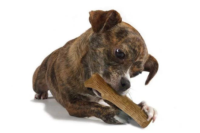 Petstages Dog Toy, Dogwood Stick, Medium