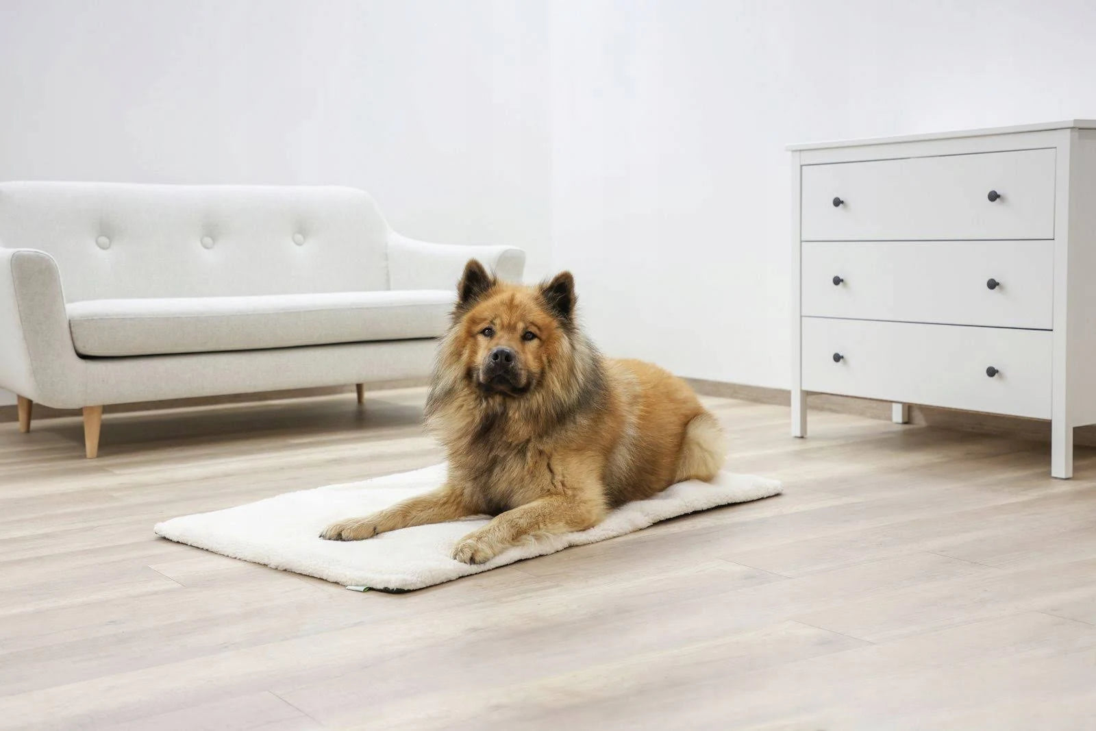 KERBL Theo self-heating mattress 120x75cm