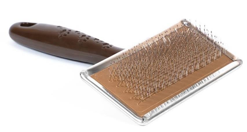 Dog Brush Gloria Pets