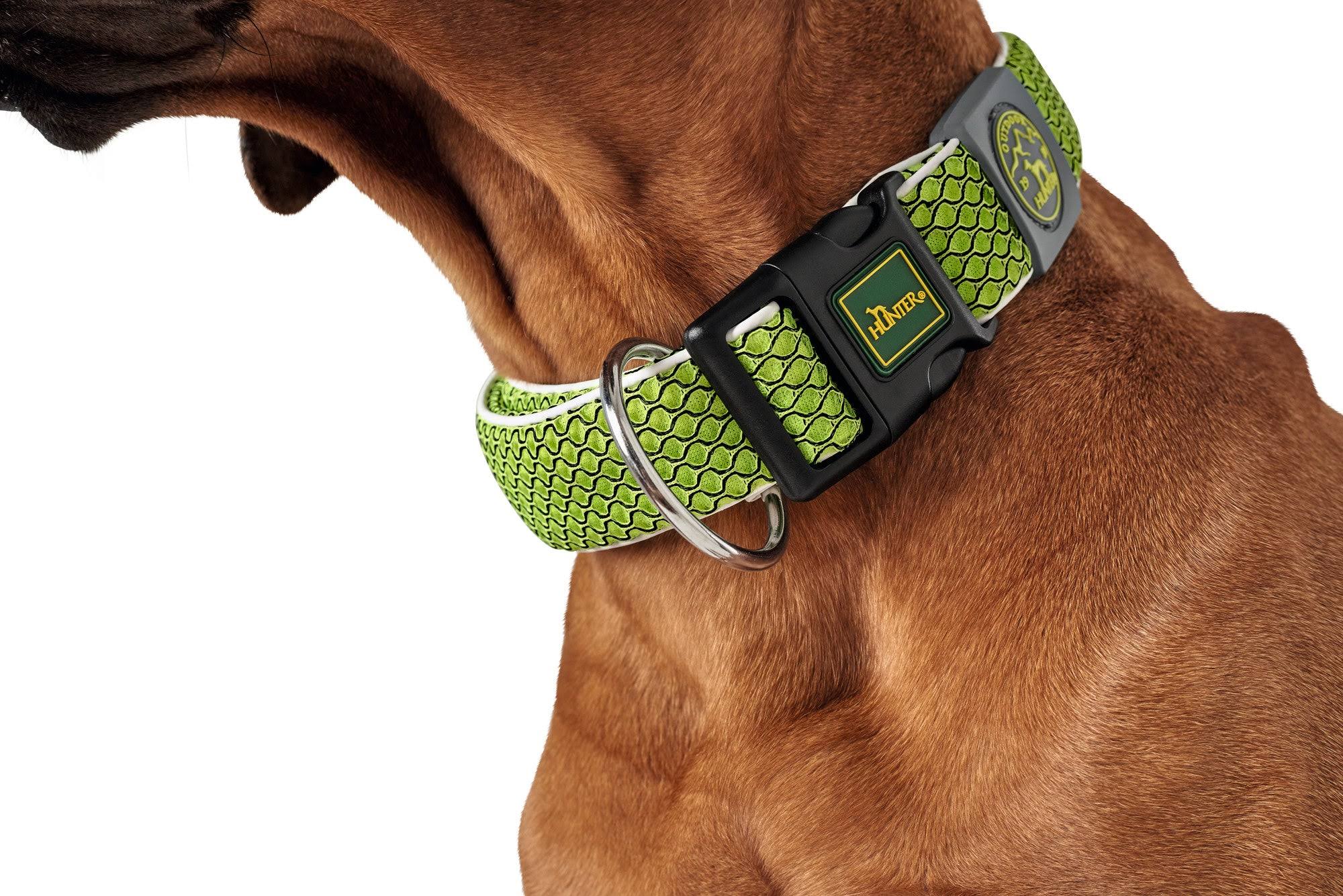 Dog Collar Hunter Hilo Vario Basic