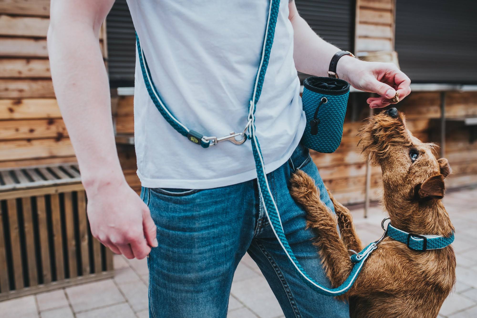 Dog Collar Hunter Hilo Vario Basic