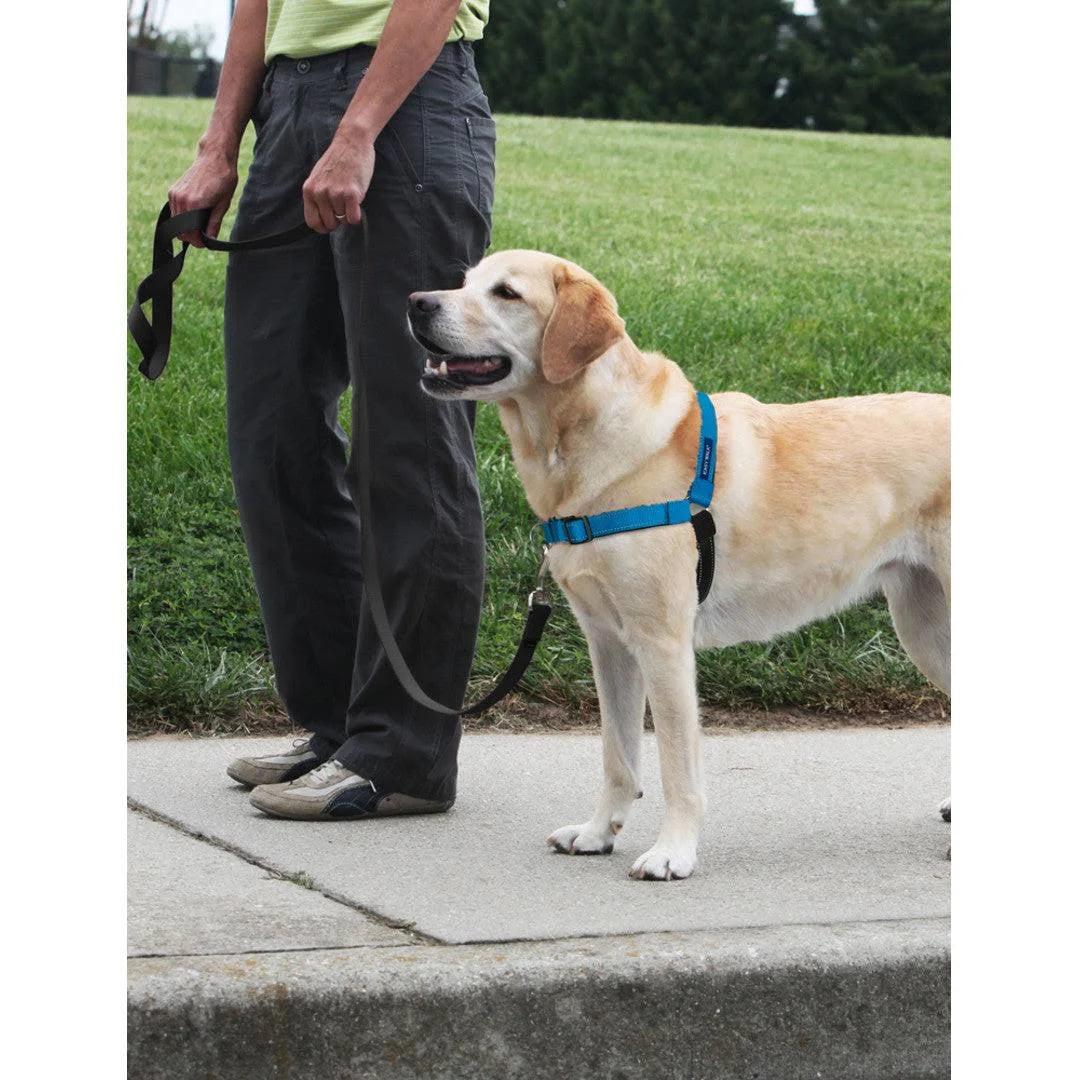 Shop for Easy Walk Deluxe Harness - PetSafe UK Small