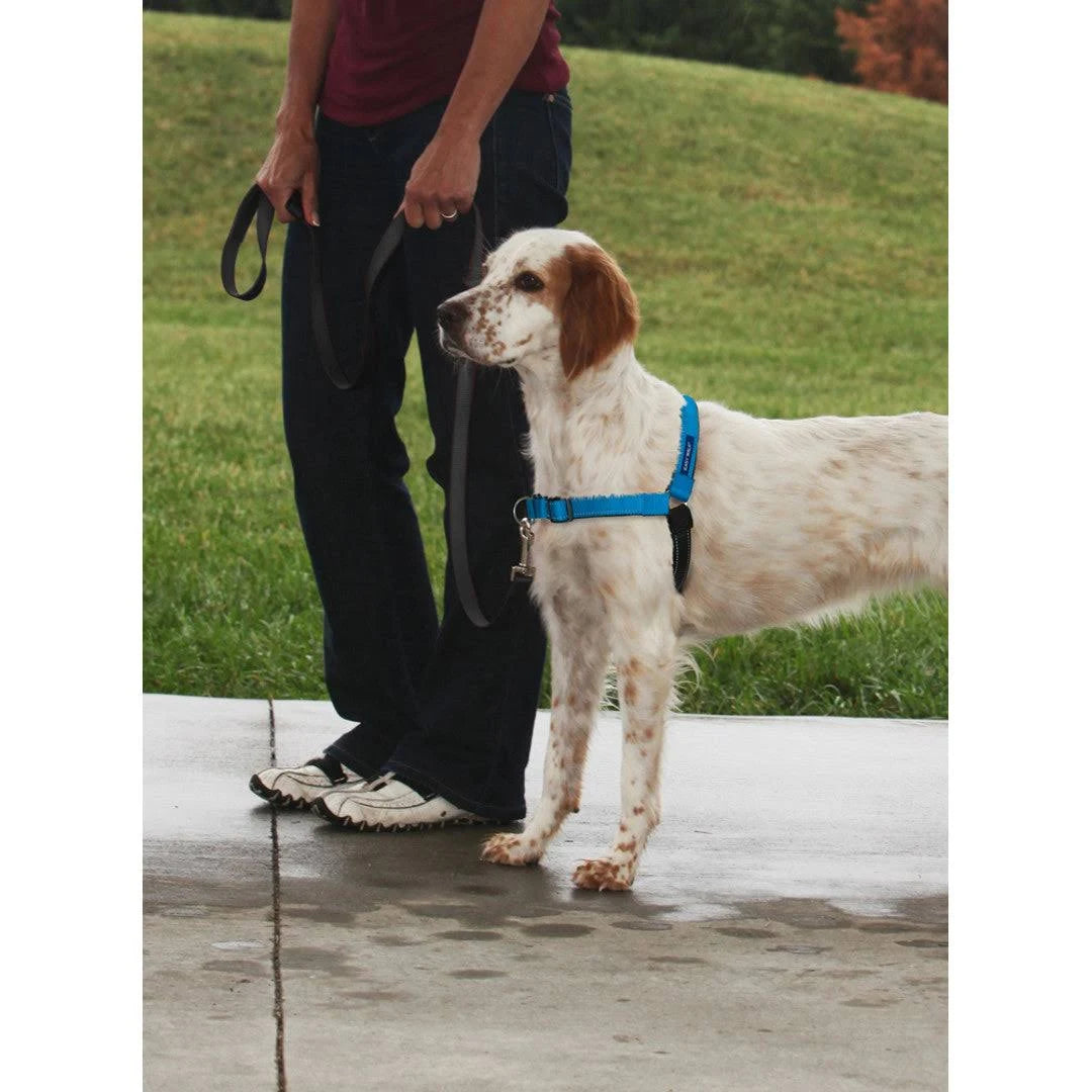 Shop for Easy Walk Deluxe Harness - PetSafe UK Small