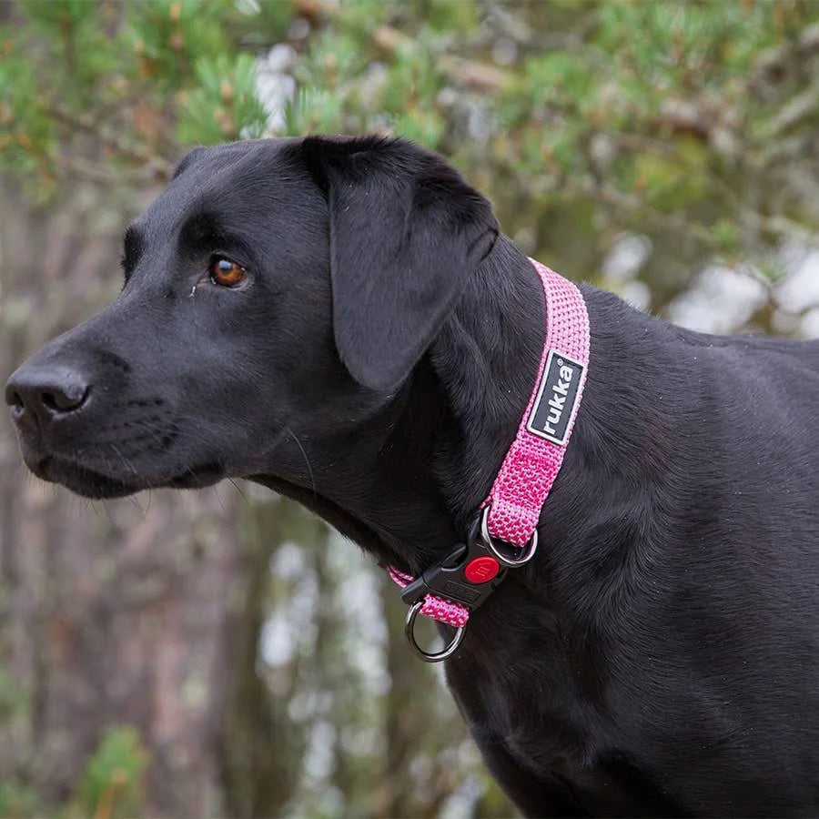 Rukka Pets Star Dog Collar (Black, L)