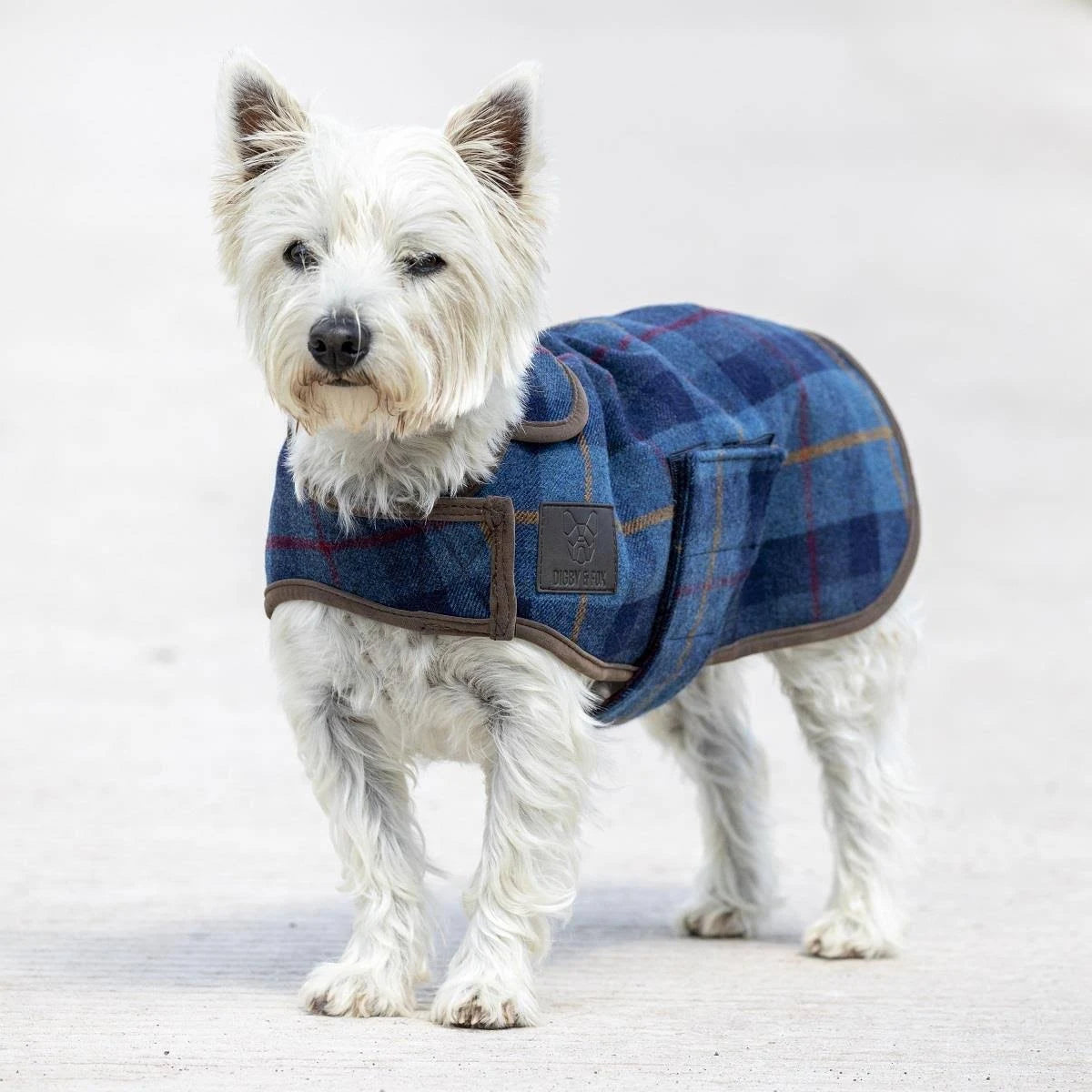Digby & Fox Tweed Dog Coat Small / Navy