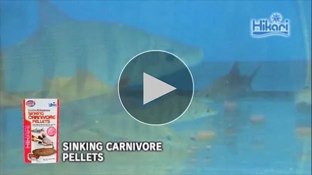 Hikari Sinking Carnivore Pellets - 1kg