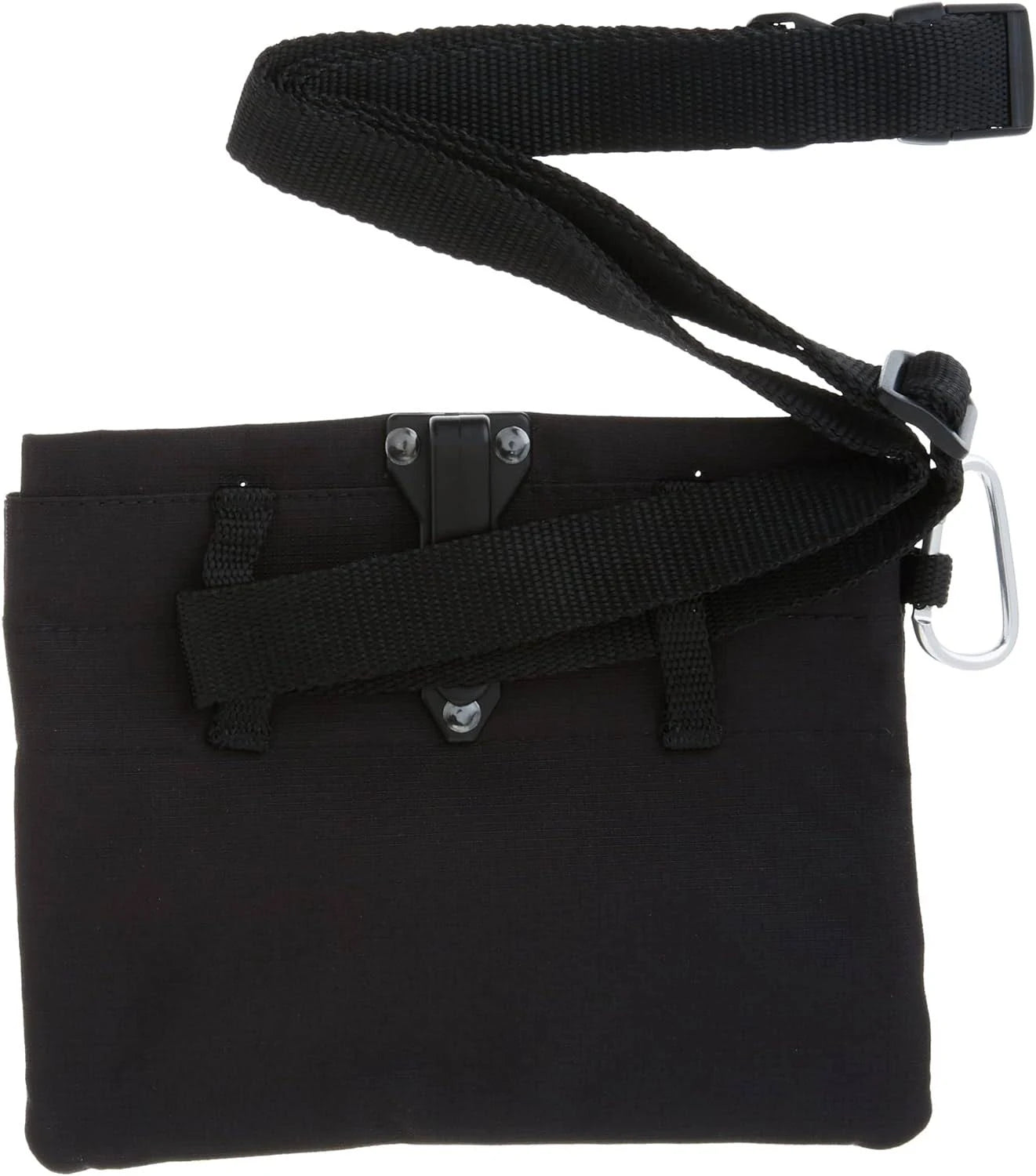 PetSafe Treat Pouch Sport- Durable, Convenient Dog Training Accessory