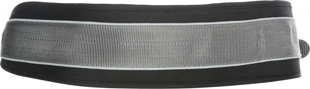 Trixie Waist Belt with Leash Small & Medium Dogs