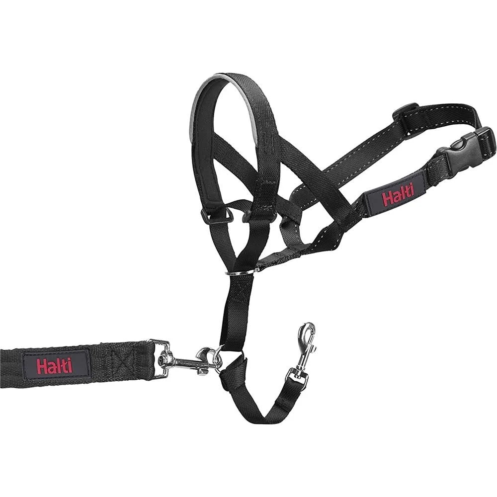 Company of Animals Halti Dog Headcollar Padded Black No Pull Comfortable & Secure ...