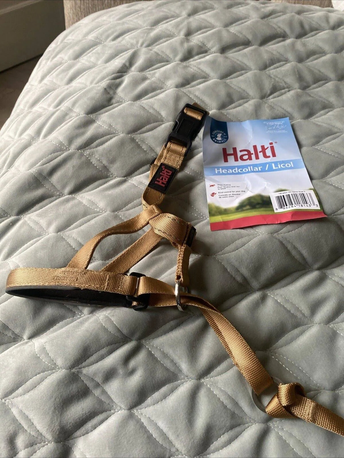 Company of Animals Halti Dog Headcollar Padded Black No Pull Comfortable & Secure ...