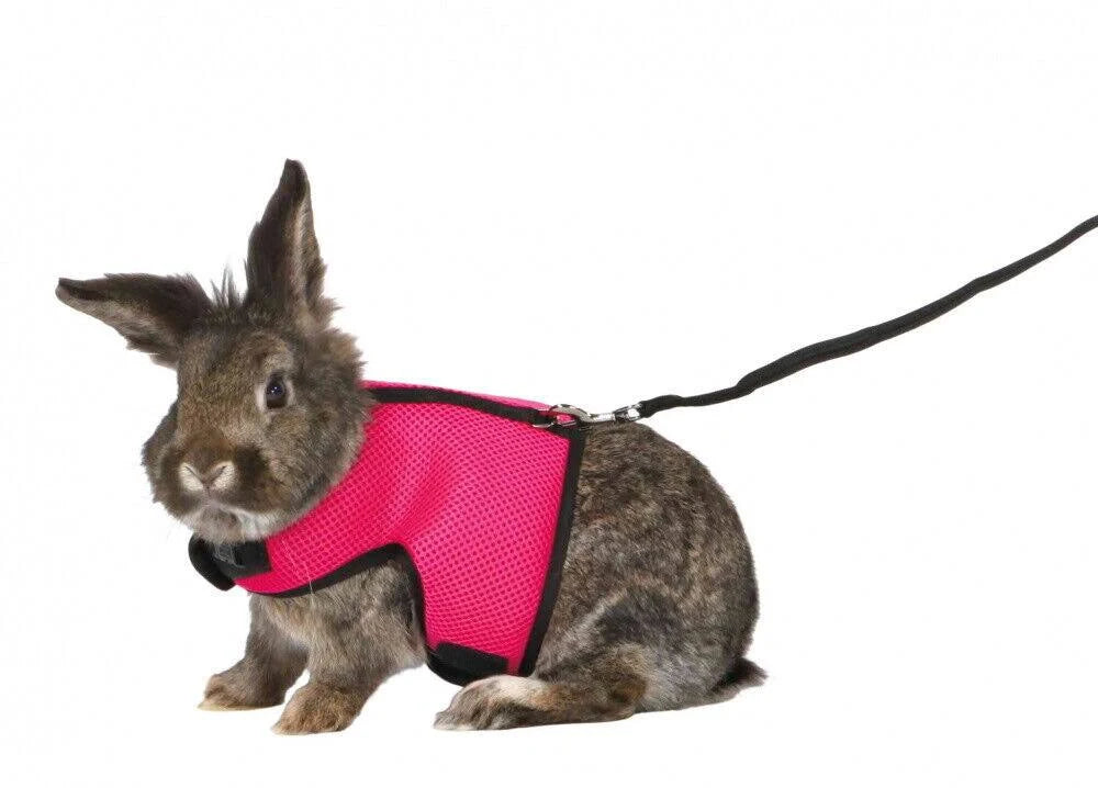 Trixie Large Rabbit Harness With Leash Outdoor Walking Lead Colour