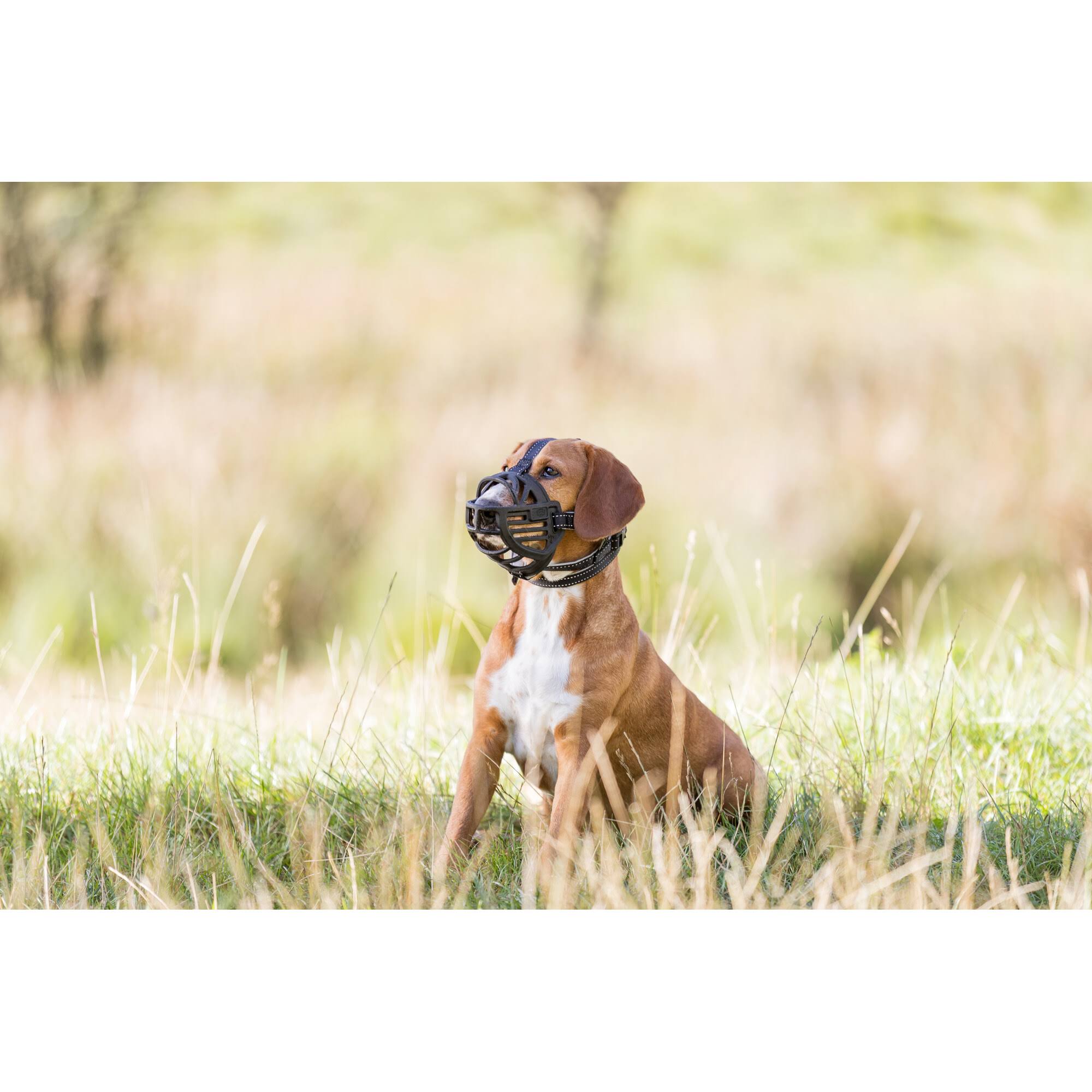 Trixie Muzzle Flex - L