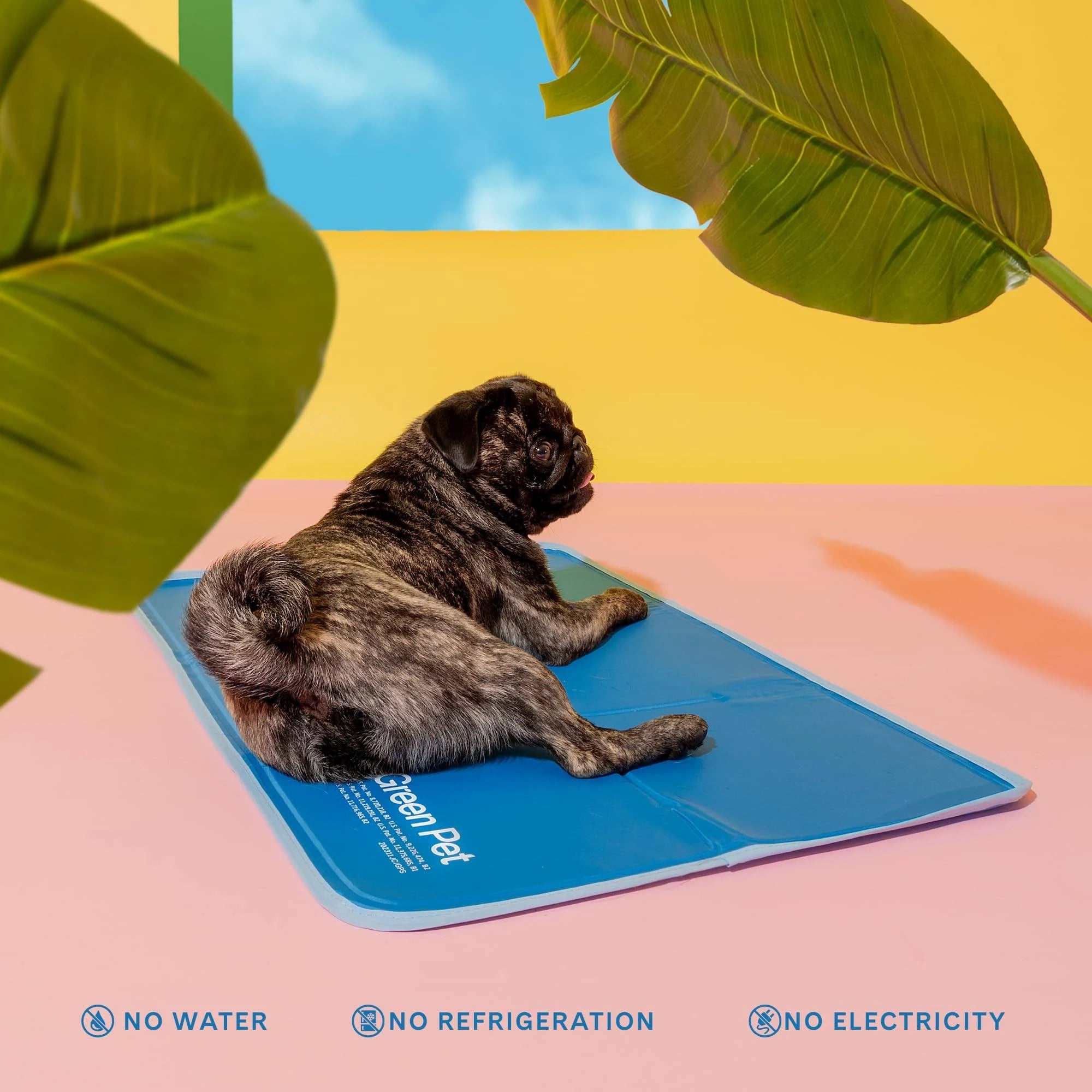 TheGreenPetShop Hunde Kühlmatte,Gel Selbstkühlende Matte für Hunde,Das Must-Have ...