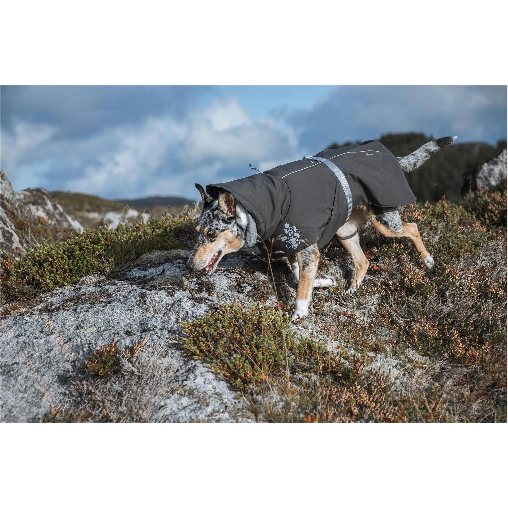 Hurtta Extreme Warmer - Blackberry - 30cm