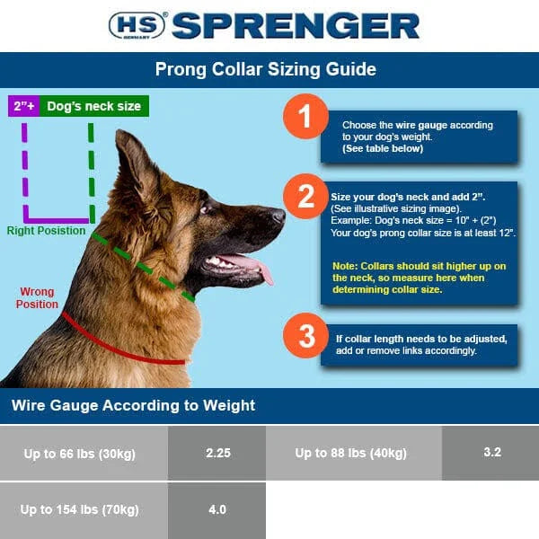 Choke Collar HS Sprenger Silver (60 cm)