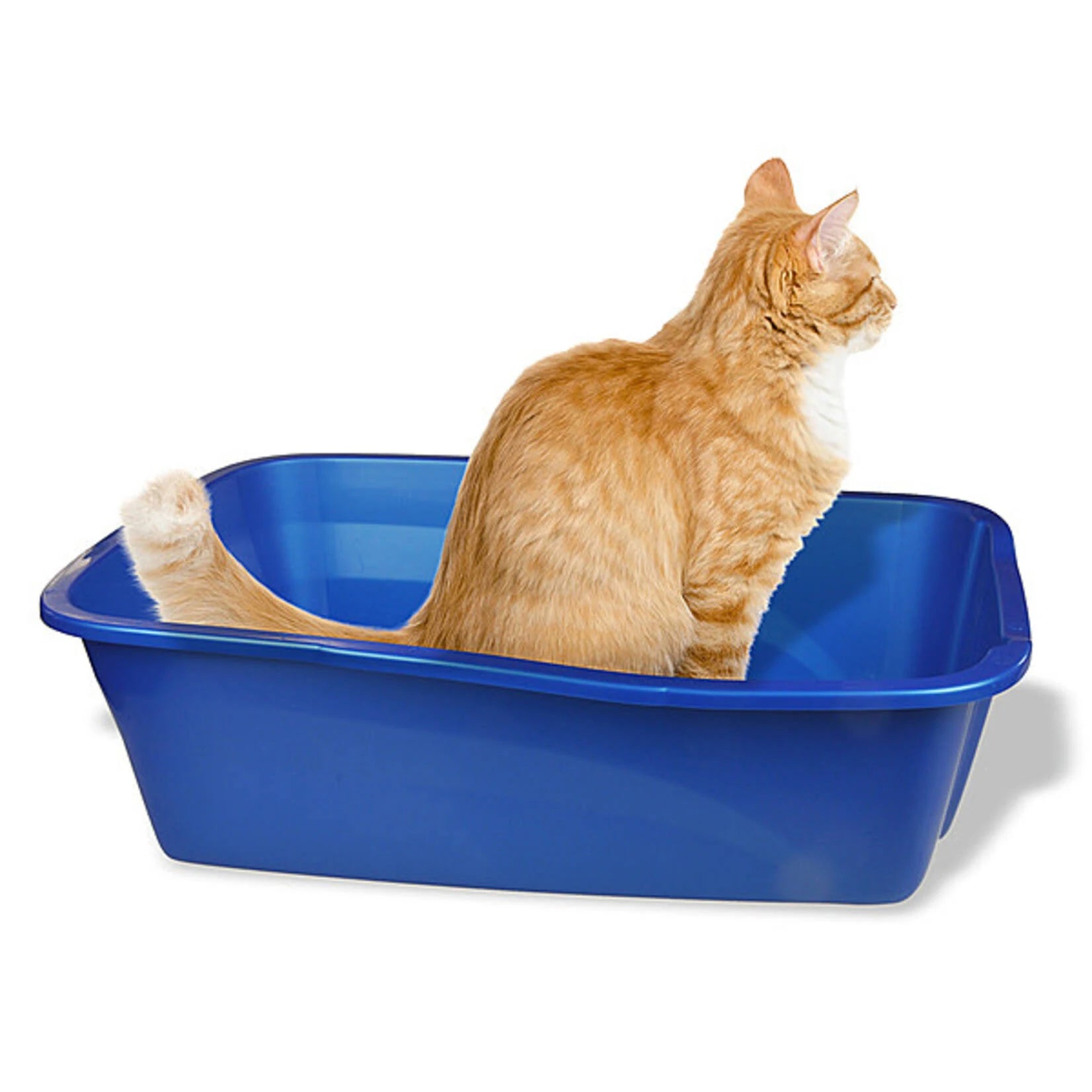 Van Ness Cat Litter Tray Giant