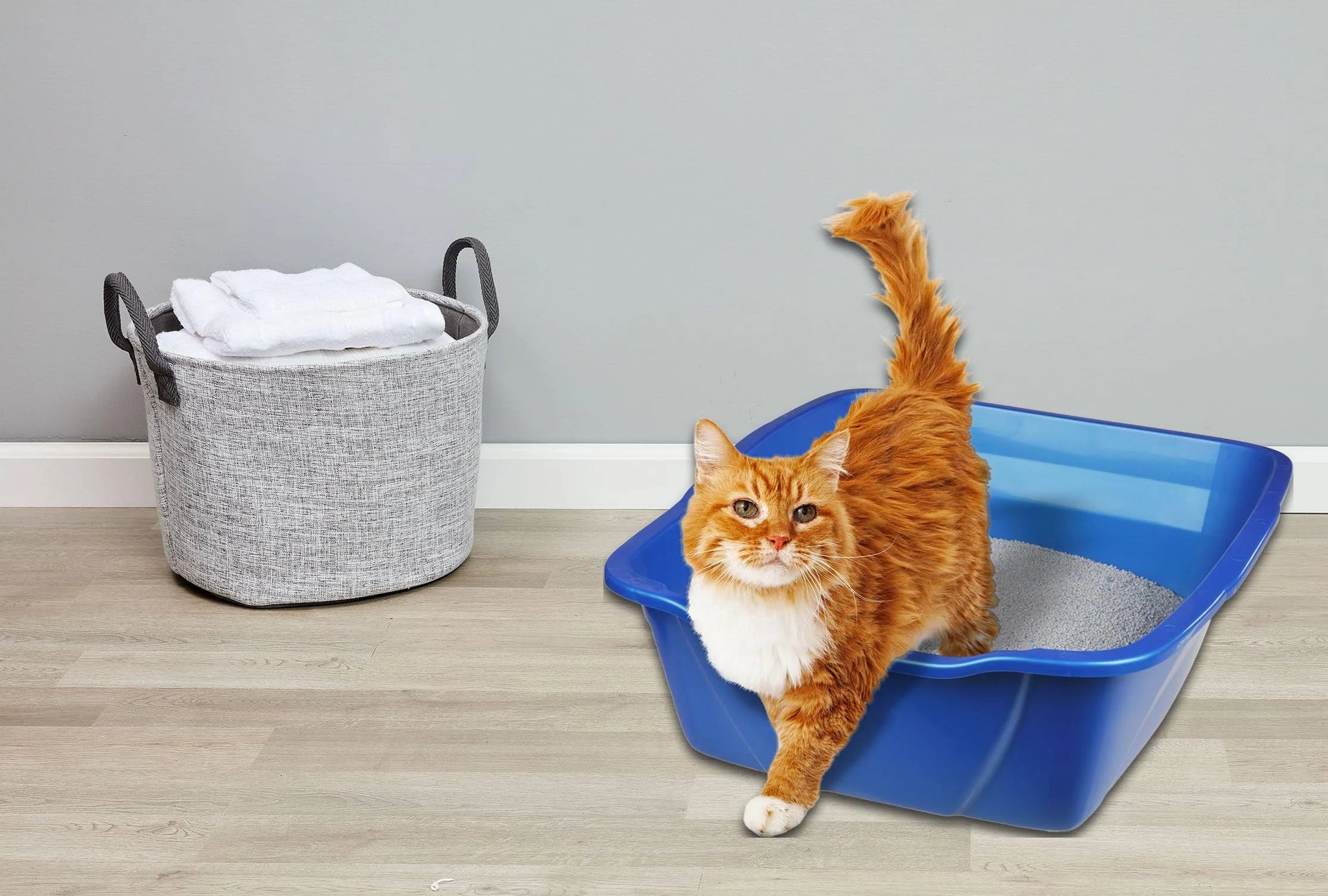 Van Ness Cat Litter Tray Giant