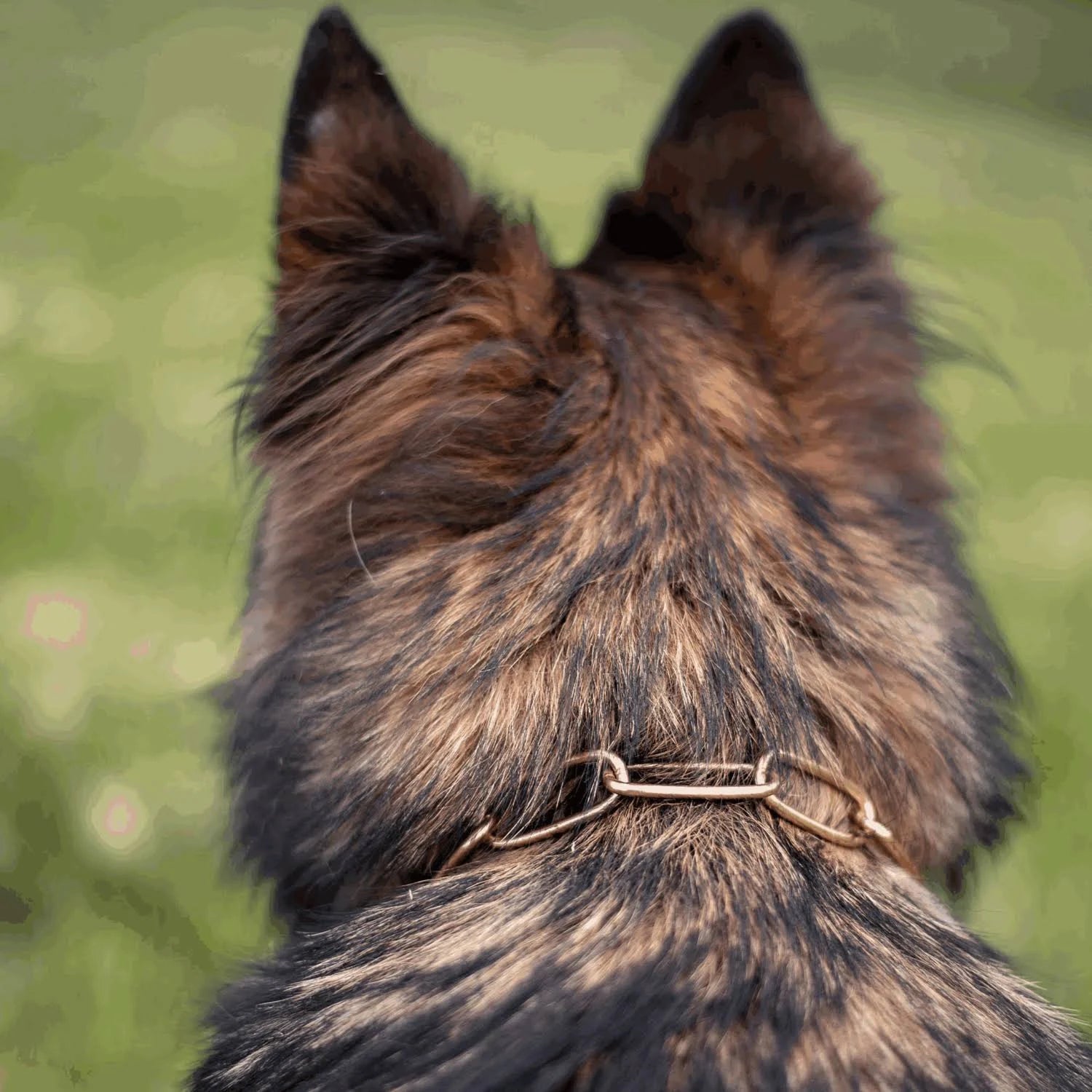 HS Sprenger Copper Length Links Dog Collar - 67 cm
