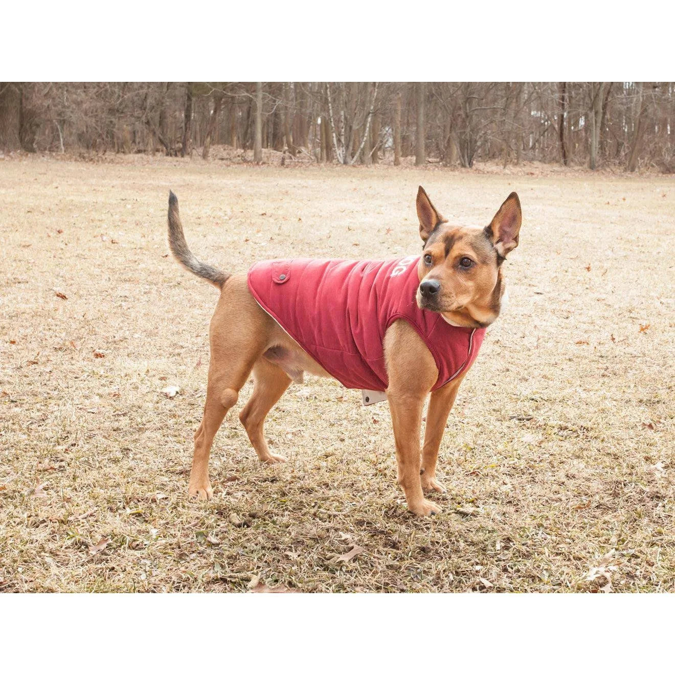 Touchdog Waggin SWAG Ultra-Plush Insulated and Reversible Dog Coat, Pink, LG