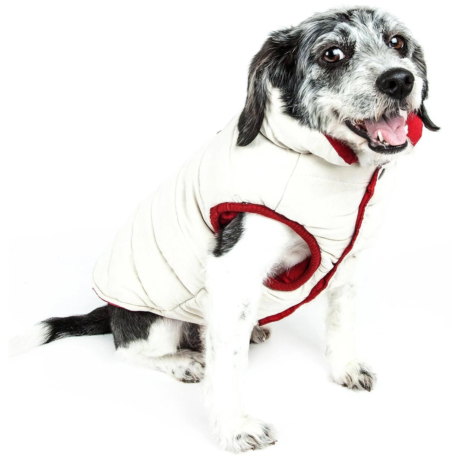 Touchdog Waggin SWAG Ultra-Plush Insulated and Reversible Dog Coat, Pink, LG