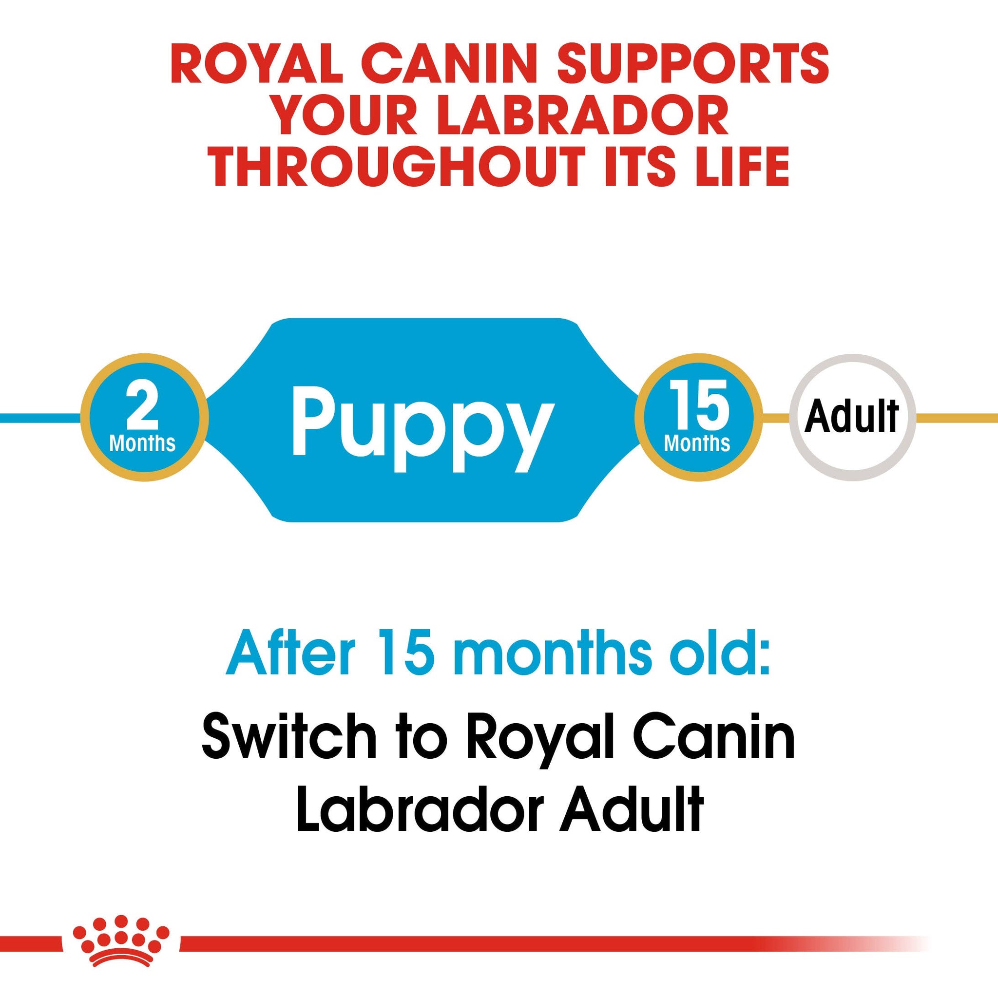 Royal Canin Labrador Retriever Puppy Dry Food - 3 kg