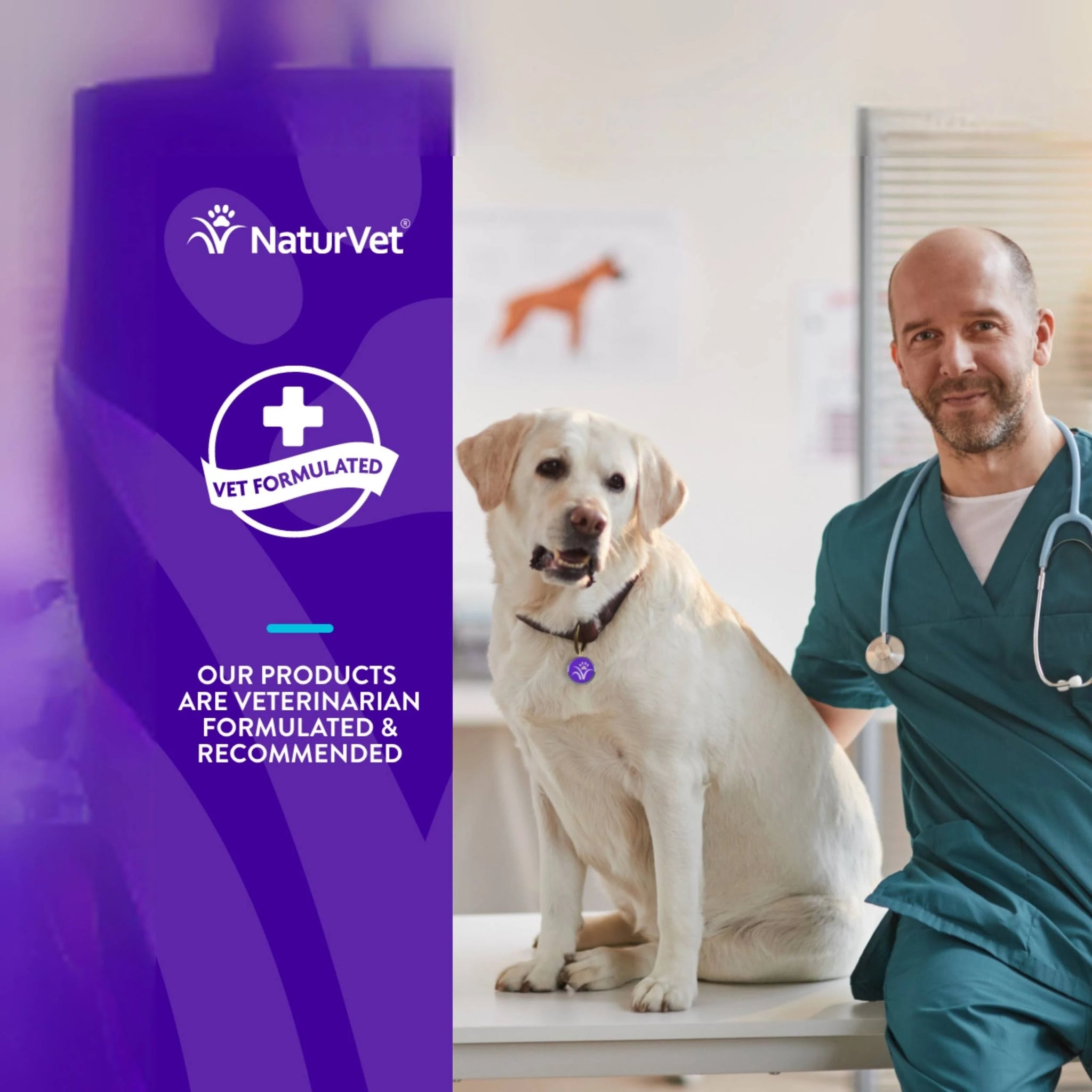 NaturVet Evolutions Advanced Joint Support Soft Chews