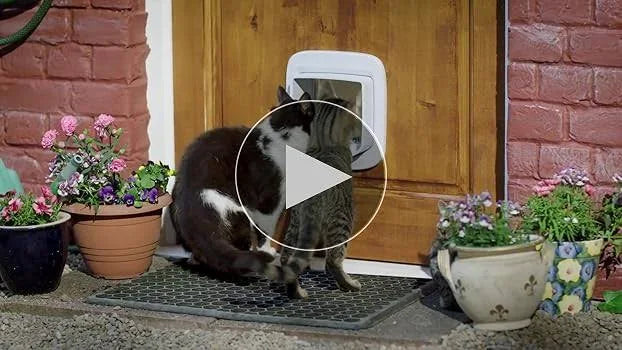 PetSafe Microchip Activated Cat Flap, Exclusive Entry, Manual Locking