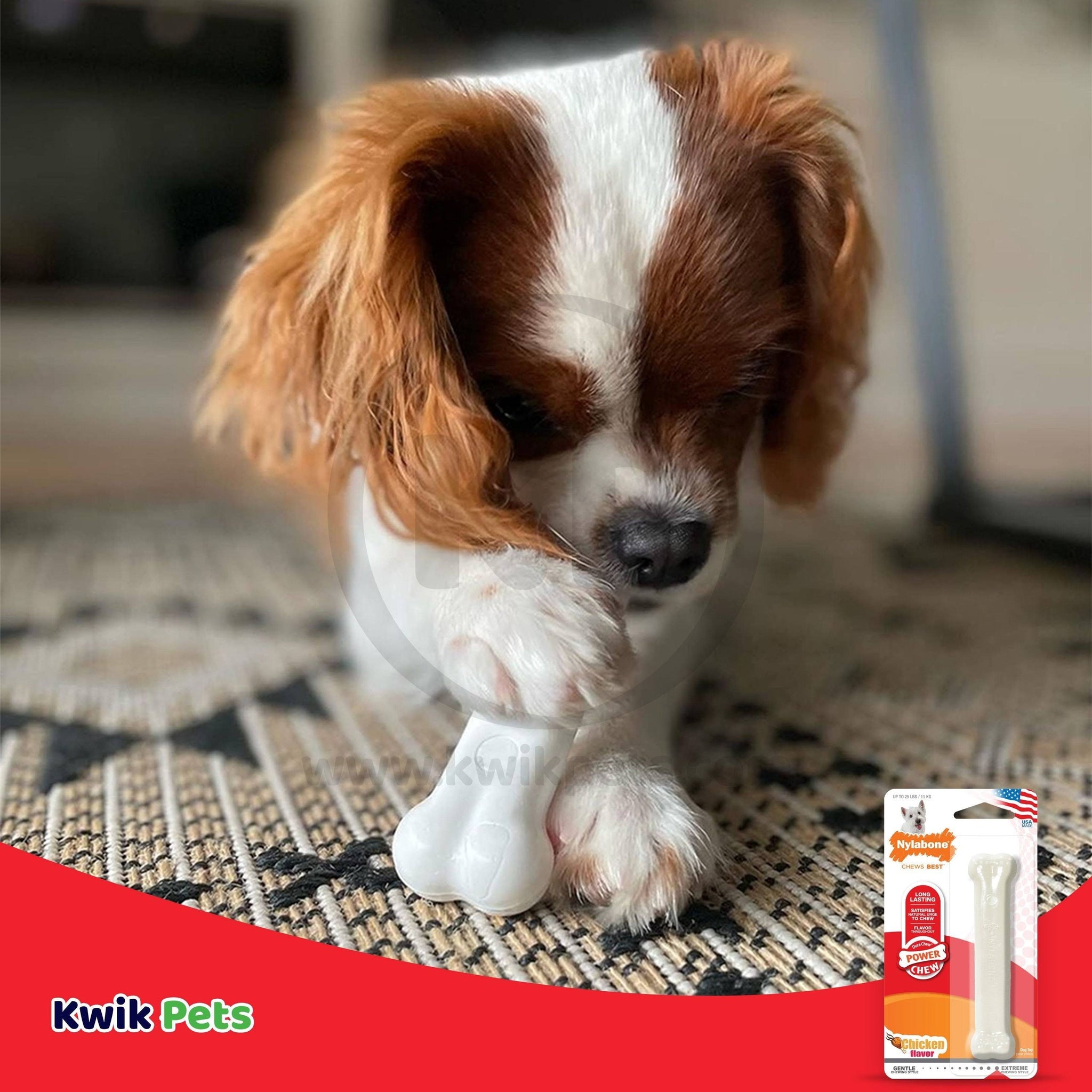 Nylabone Chicken Chew Small