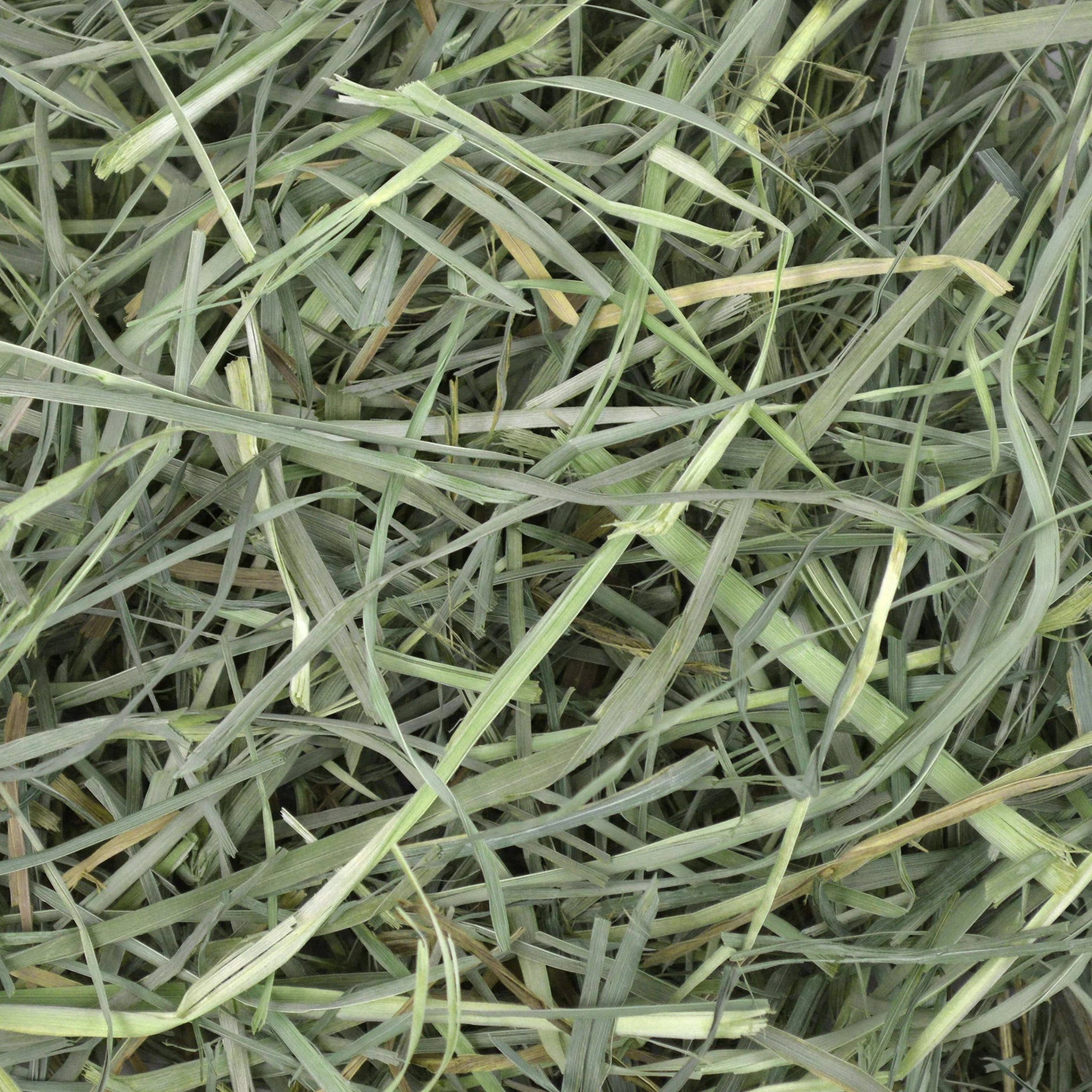 Oxbow Orchard Grass Hay 25lbs (11.3kg)
