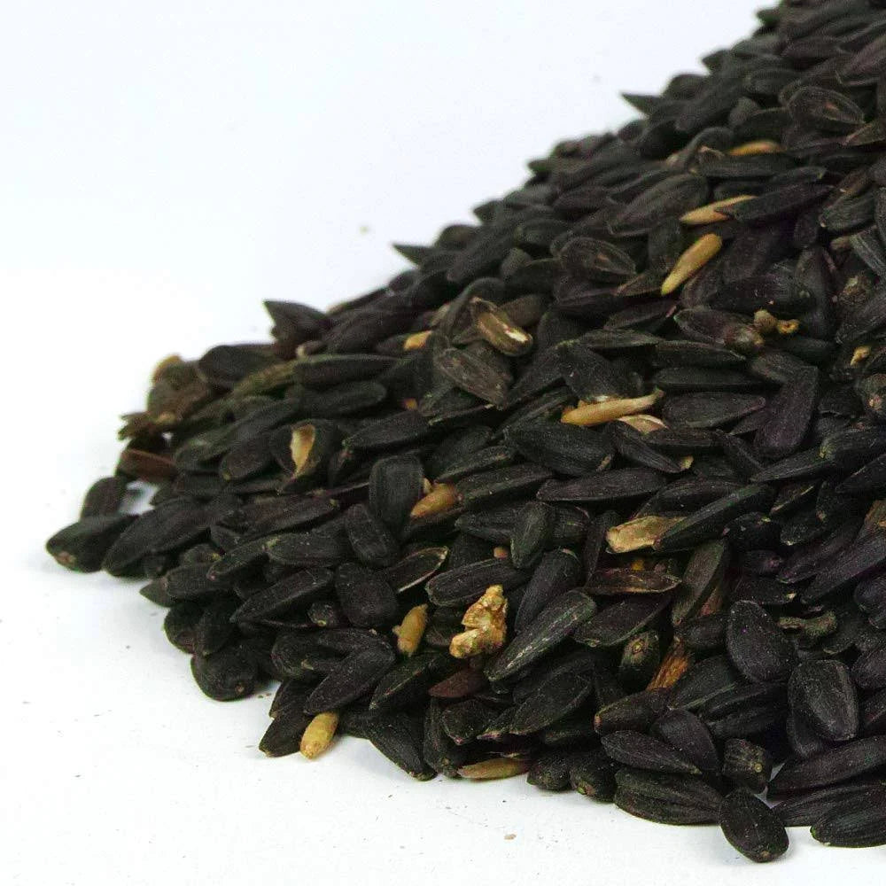 SQUAWK Black Oil Sunflower Seeds (2.5kg)