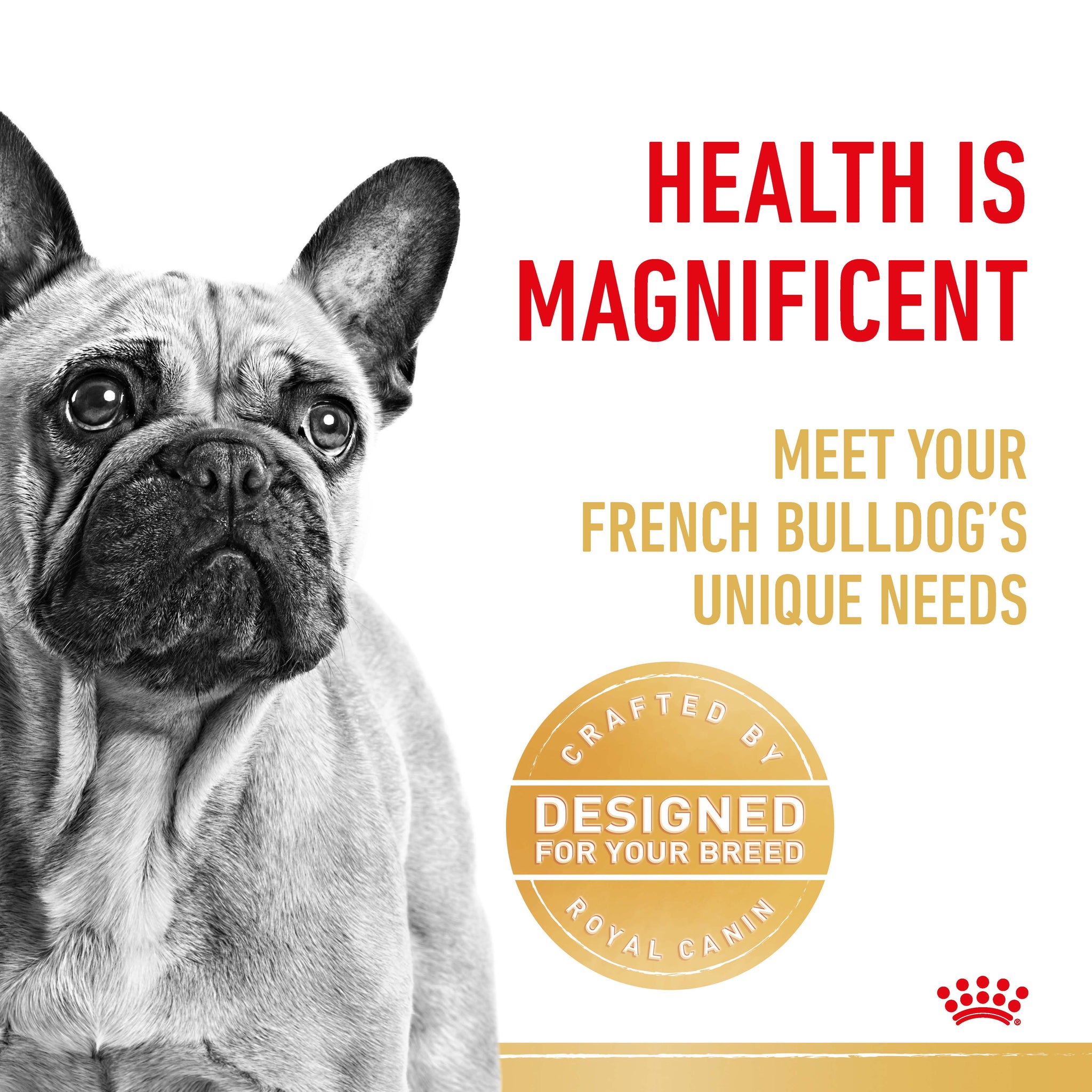 Royal Canin French Bulldog Adult Dog Food (3kg)