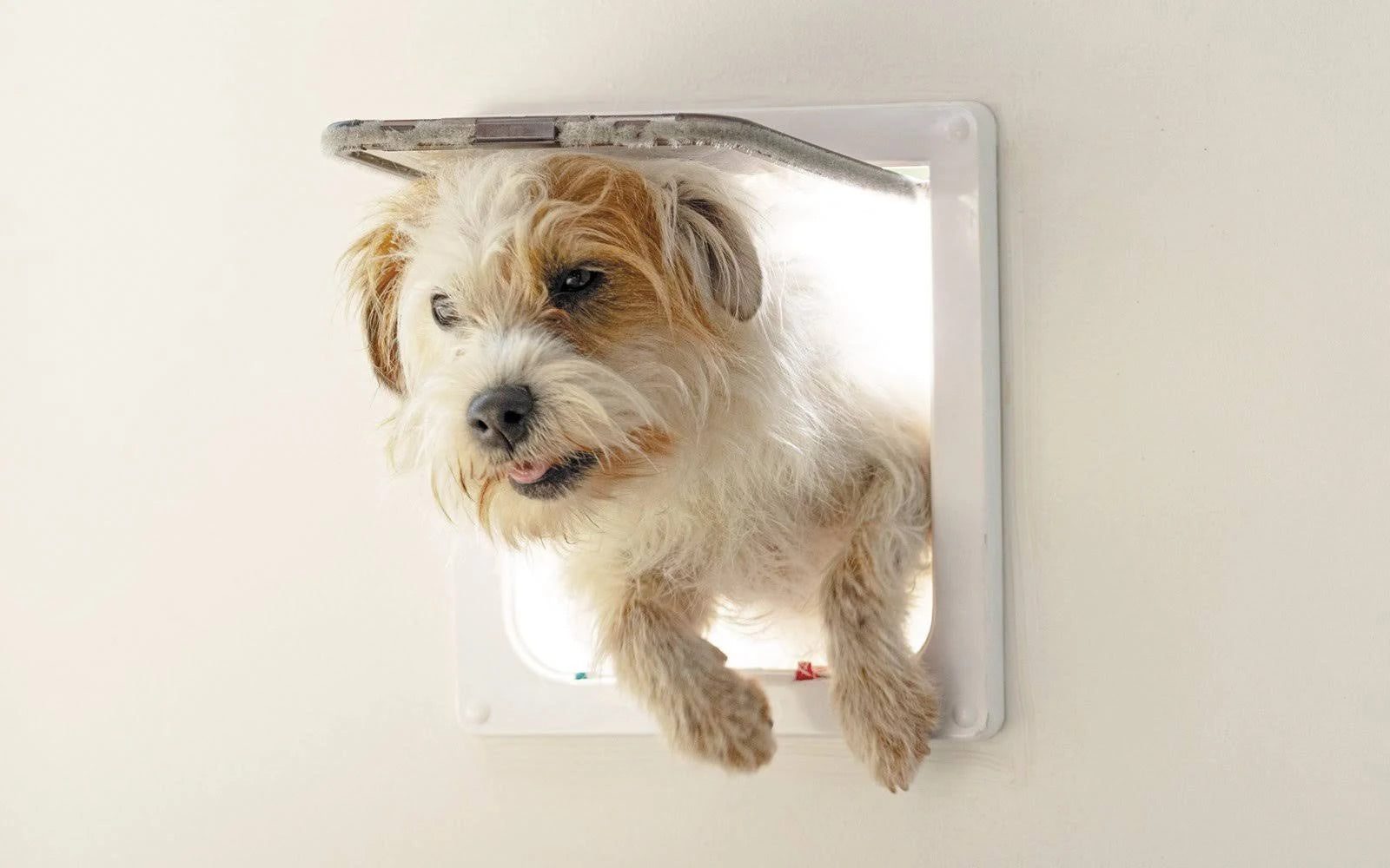 Cat Mate Cat Flap White Large