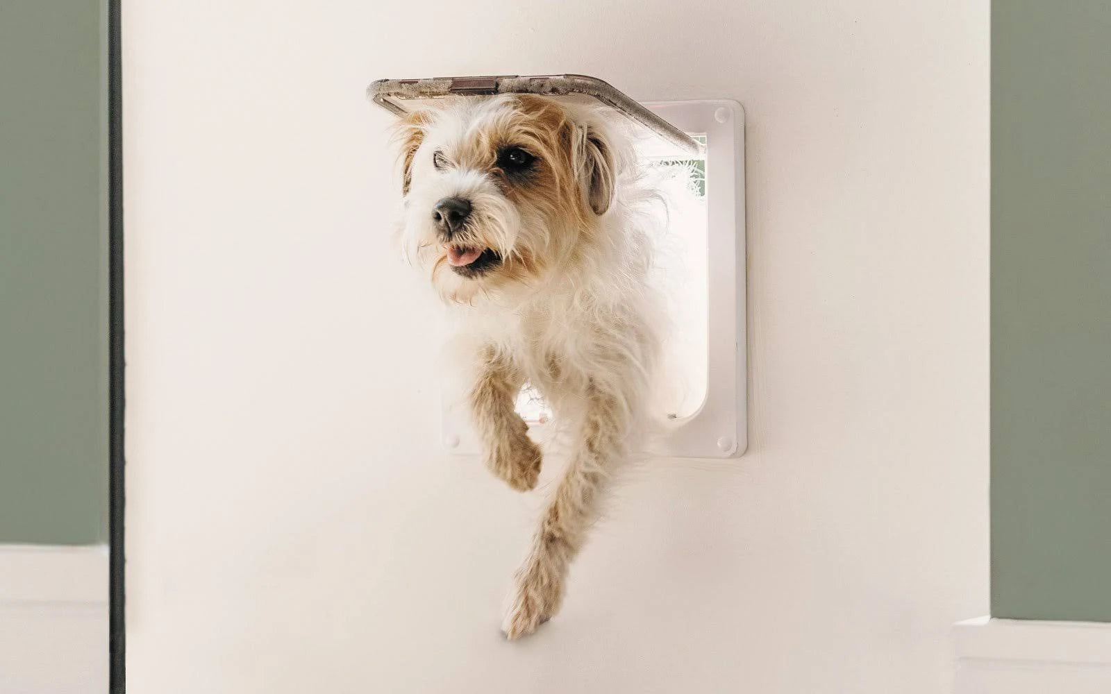 Cat Mate Cat Flap White Large